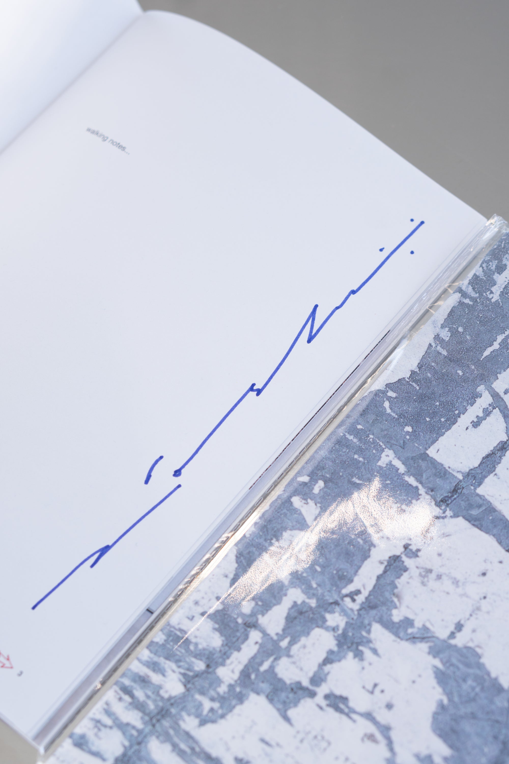 Patrones de fractura