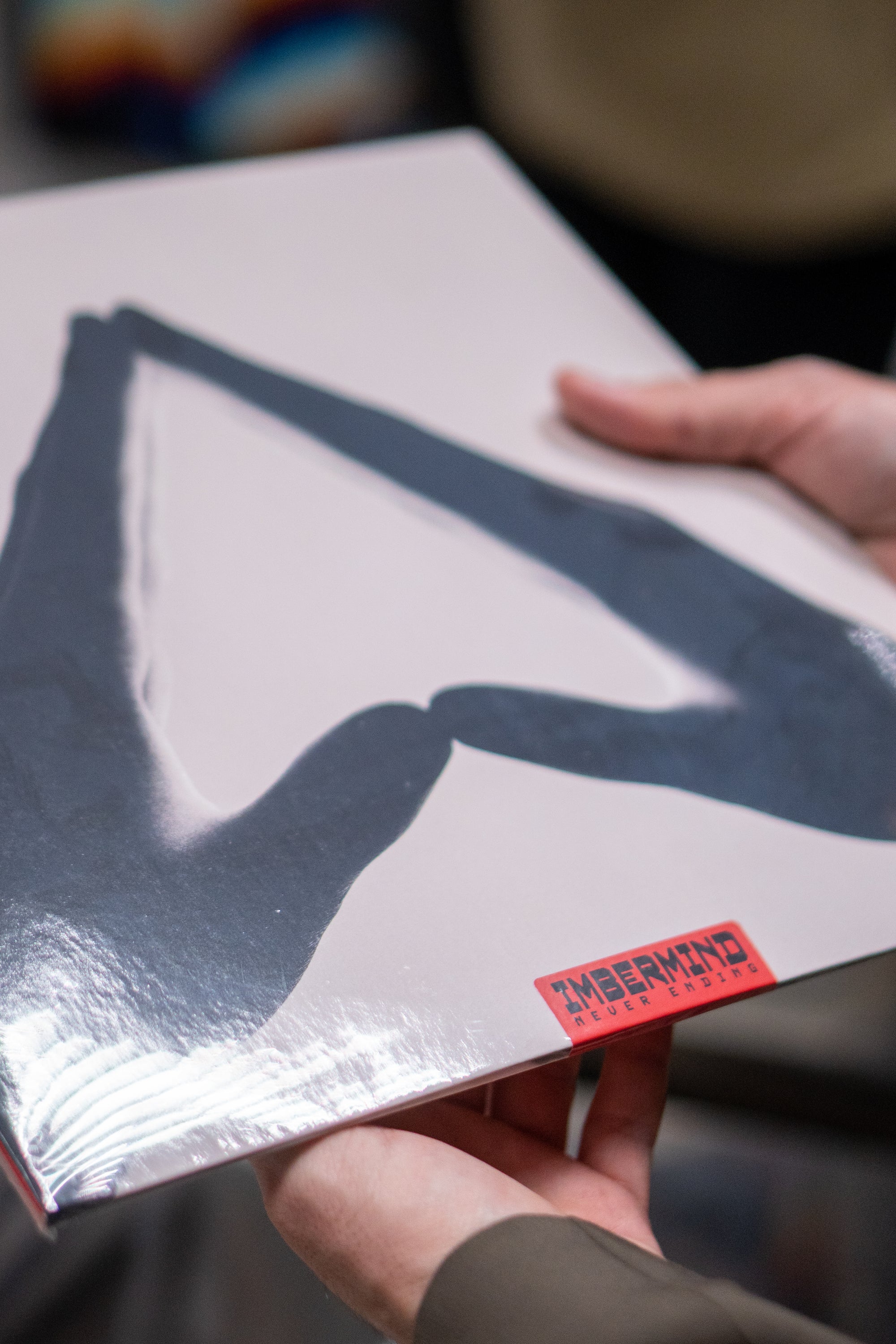 NEVER ENDING - IMBERMIND (Vinyl)